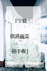 宁夏：供港蔬菜迎丰收