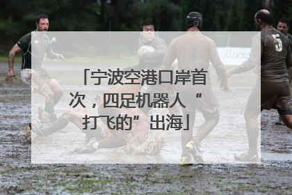 宁波空港口岸首次，四足机器人“打飞的”出海