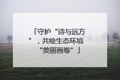 守护“诗与远方”，共绘生态环境“美丽画卷”