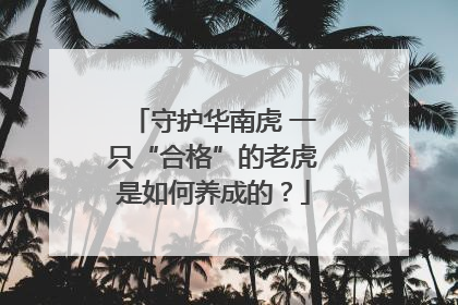 守护华南虎 一只“合格”的老虎是如何养成的？