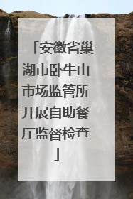 安徽省巢湖市卧牛山市场监管所开展自助餐厅监督检查