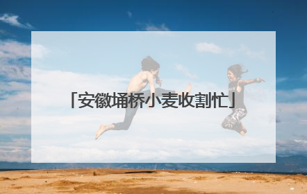 安徽埇桥小麦收割忙
