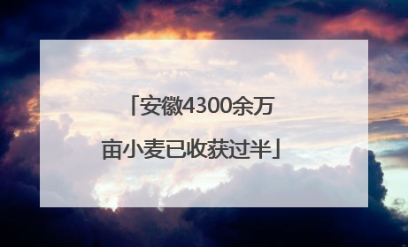 安徽4300余万亩小麦已收获过半