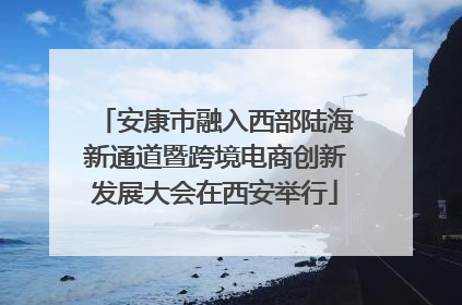安康市融入西部陆海新通道暨跨境电商创新发展大会在西安举行