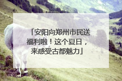 安阳向郑州市民送福利啦！这个夏日，来感受古都魅力