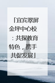 宜宾翠屏金坪中心校：共探教育特色，携手共促发展