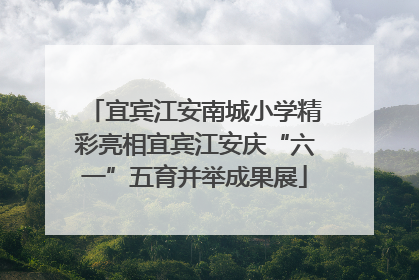 宜宾江安南城小学精彩亮相宜宾江安庆“六一”五育并举成果展