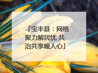 宝丰县：网格聚力解民忧 共治共享暖人心