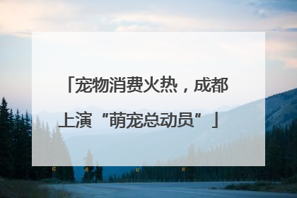 宠物消费火热，成都上演“萌宠总动员”