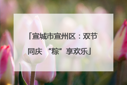 宣城市宣州区：双节同庆 “粽”享欢乐