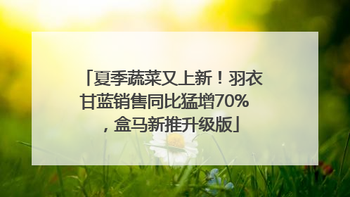 夏季蔬菜又上新！羽衣甘蓝销售同比猛增70%，盒马新推升级版