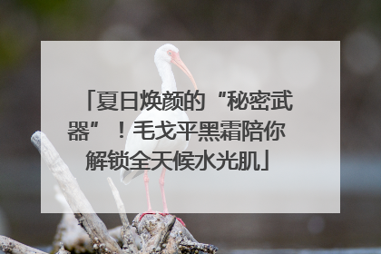 夏日焕颜的“秘密武器”！毛戈平黑霜陪你解锁全天候水光肌
