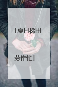 夏日梯田劳作忙