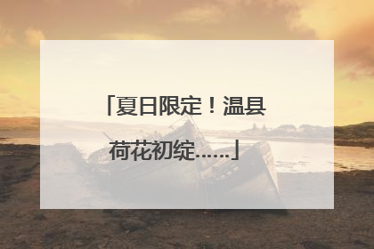 夏日限定！温县荷花初绽……