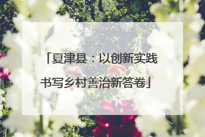 夏津县：以创新实践书写乡村善治新答卷