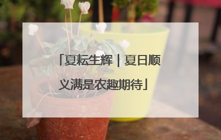 夏耘生辉｜夏日顺义满是农趣期待