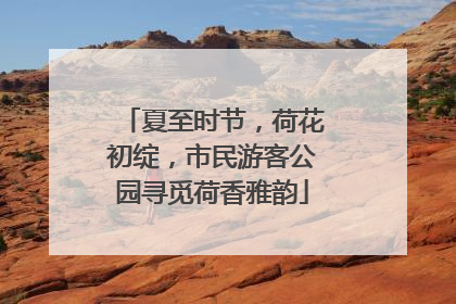 夏至时节，荷花初绽，市民游客公园寻觅荷香雅韵