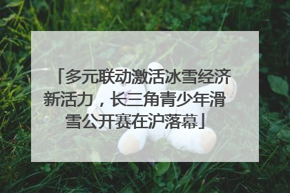 多元联动激活冰雪经济新活力，长三角青少年滑雪公开赛在沪落幕