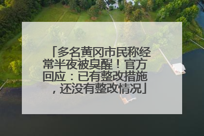 多名黄冈市民称经常半夜被臭醒！官方回应：已有整改措施，还没有整改情况