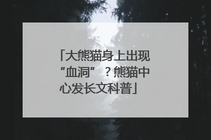 大熊猫身上出现“血洞”？熊猫中心发长文科普