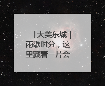 大美东城｜雨歇时分，这里藏着一片会呼吸的绿境
