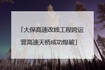 大保高速改线工程跨运营高速天桥成功爆破