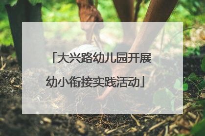大兴路幼儿园开展幼小衔接实践活动