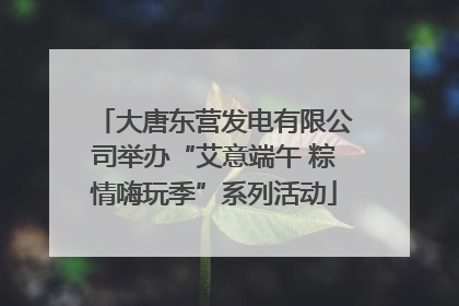 大唐东营发电有限公司举办“艾意端午 粽情嗨玩季”系列活动