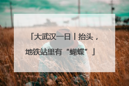 大武汉一日丨抬头，地铁站里有“蝴蝶”
