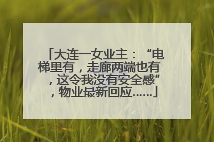 大连一女业主：“电梯里有，走廊两端也有，这令我没有安全感”，物业最新回应……