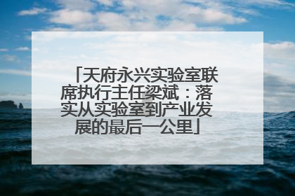 天府永兴实验室联席执行主任梁斌：落实从实验室到产业发展的最后一公里