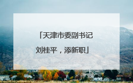 天津市委副书记刘桂平，添新职