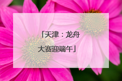 天津：龙舟大赛迎端午