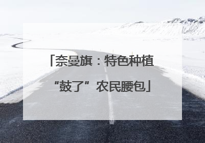 奈曼旗：特色种植“鼓了”农民腰包