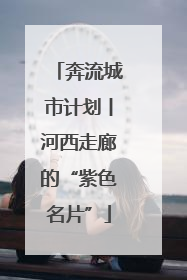 奔流城市计划丨河西走廊的“紫色名片”