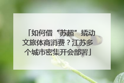 如何借“苏超”撬动文旅体商消费？江苏多个城市密集开会部署