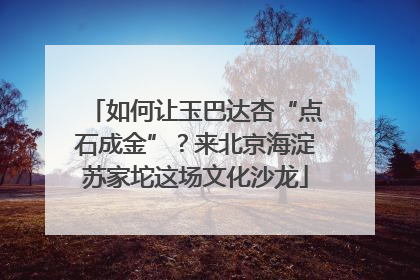 如何让玉巴达杏“点石成金”？来北京海淀苏家坨这场文化沙龙