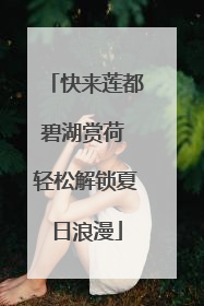 快来莲都碧湖赏荷 轻松解锁夏日浪漫