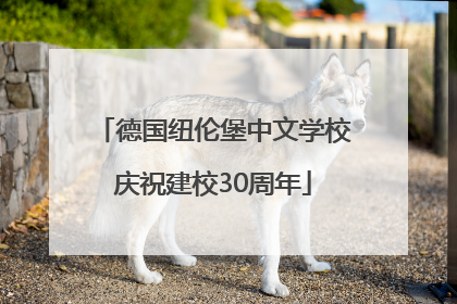 德国纽伦堡中文学校庆祝建校30周年