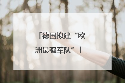 德国拟建“欧洲最强军队”