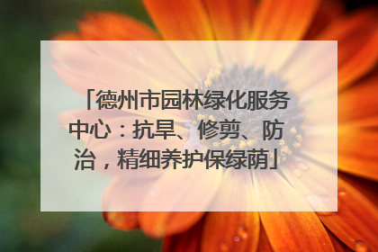德州市园林绿化服务中心：抗旱、修剪、防治，精细养护保绿荫