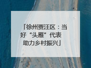 徐州贾汪区：当好“头雁”代表 助力乡村振兴