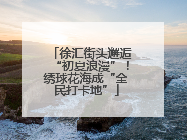 徐汇街头邂逅“初夏浪漫”！绣球花海成“全民打卡地”