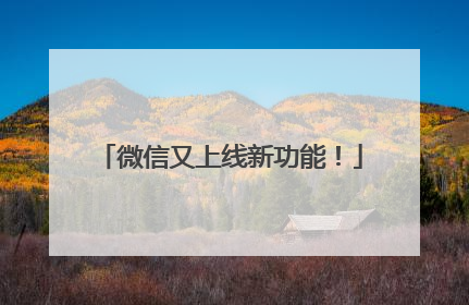 微信又上线新功能！
