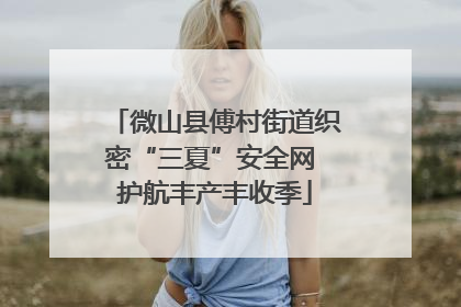 微山县傅村街道织密“三夏”安全网 护航丰产丰收季