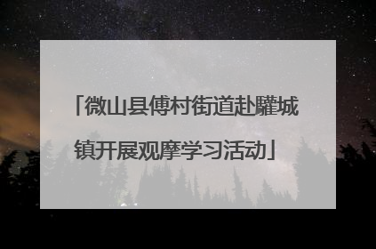 微山县傅村街道赴驩城镇开展观摩学习活动