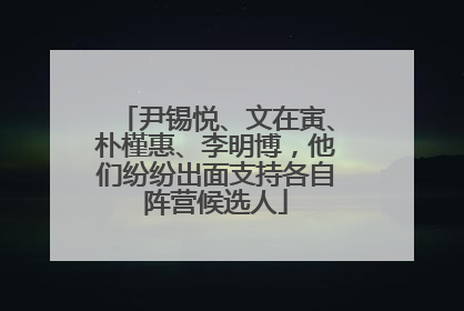 尹锡悦、文在寅、朴槿惠、李明博，他们纷纷出面支持各自阵营候选人