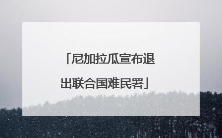 尼加拉瓜宣布退出联合国难民署