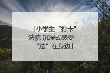 小学生“打卡”法院 沉浸式感受“法”在身边