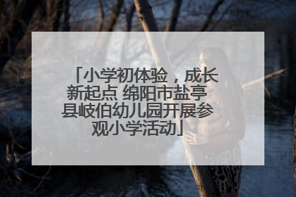 小学初体验，成长新起点 绵阳市盐亭县岐伯幼儿园开展参观小学活动